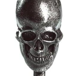 ✨10xSkull Key✨1 UNIT=10*Skull Key✨Fast Delivery 0